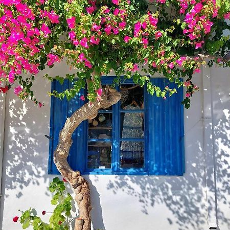 Chez Cecile Home موخلوس المظهر الخارجي الصورة