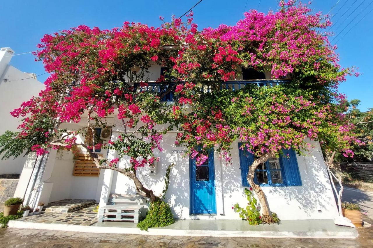 Chez Cecile Home موخلوس المظهر الخارجي الصورة