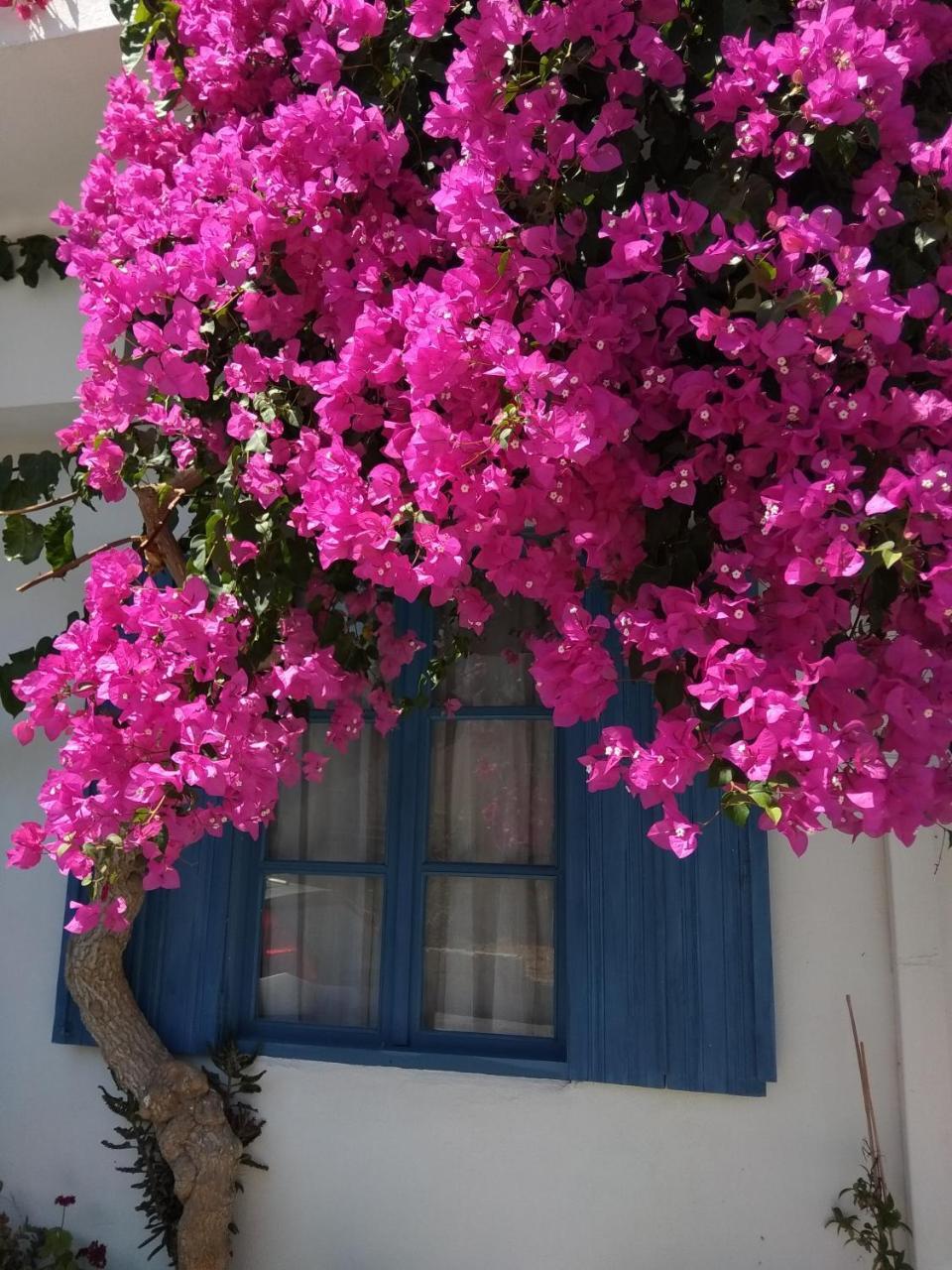 Chez Cecile Home موخلوس المظهر الخارجي الصورة