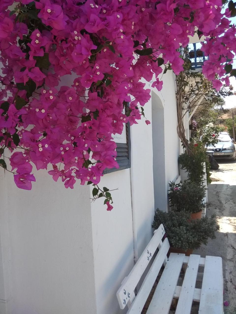 Chez Cecile Home موخلوس المظهر الخارجي الصورة