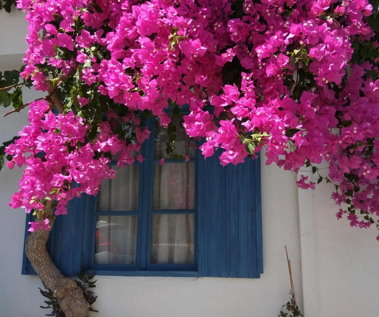 Chez Cecile Home موخلوس المظهر الخارجي الصورة