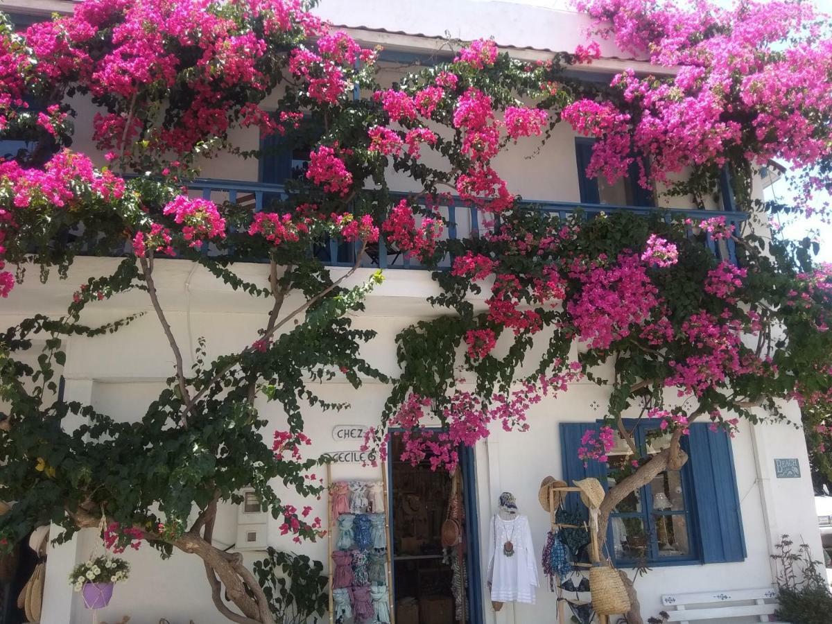 Chez Cecile Home موخلوس المظهر الخارجي الصورة